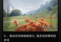 一个人久了的伤感短句（习惯了独自疗伤）