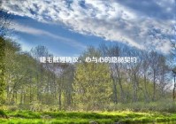 睫毛触碰协议，心与心的隐秘契约