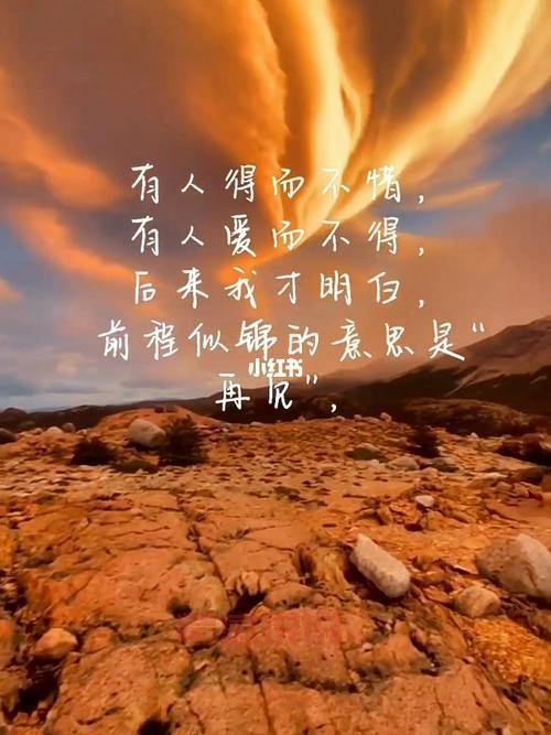 句句戳中你的情感软肋(那些让人泪流满面的情感文案)