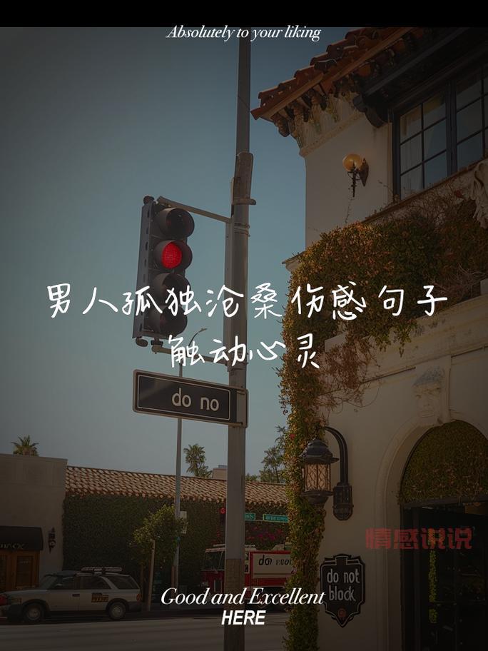 男生伤感签名短句:孤独与烈酒,只为掩饰心痛