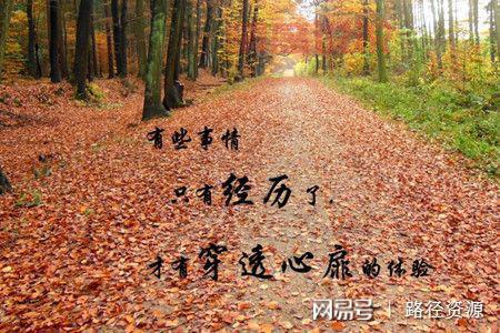 那些藏不住的悲伤（回不去的曾经，忘不掉的人）