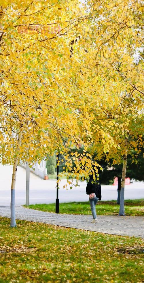 相约风月交友网,哈尔滨单身男女？