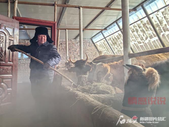 南昌本地生活论坛:汇聚南昌百姓,分享生活乐趣