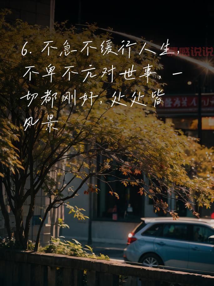 情感说说心情短语:触动心灵的文字分享