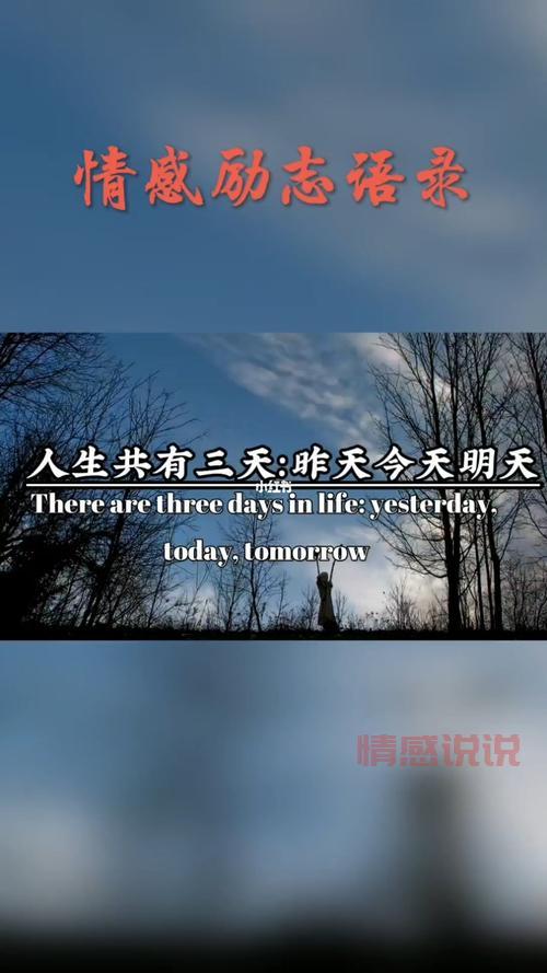 心情短语精选：励志情感与生活智慧分享
