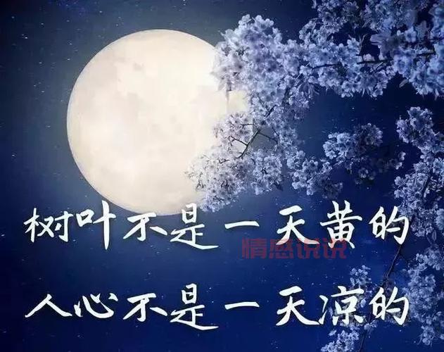 情感危机的说说：在困境中重建感情的力量