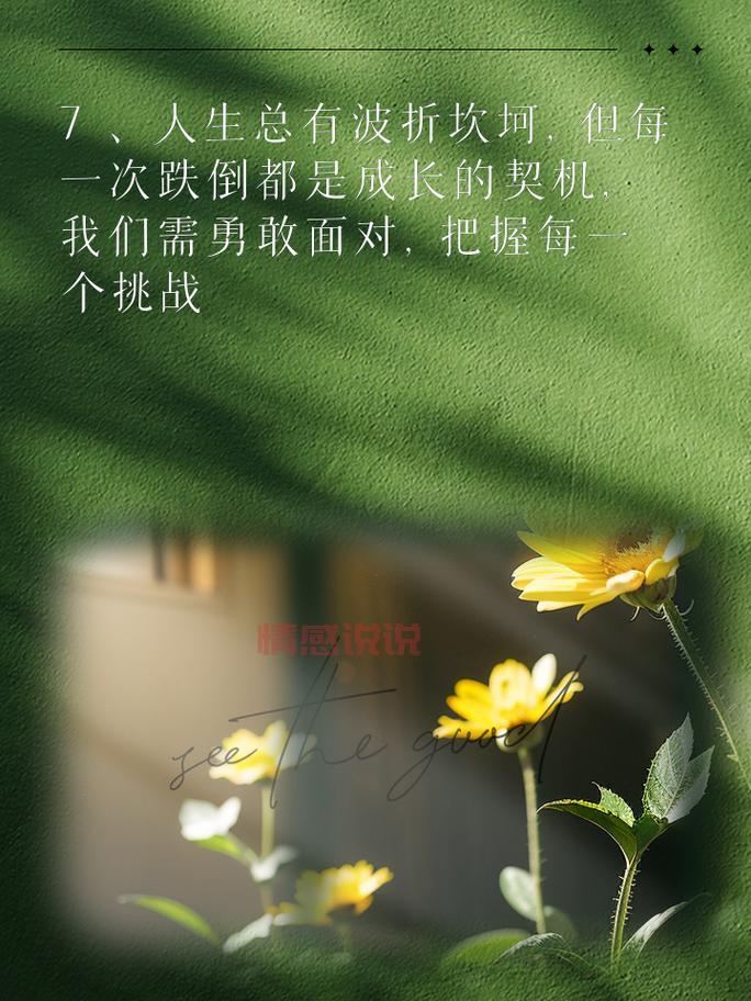 女生心情感悟:生活感悟与自我成长的力量