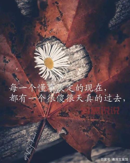 唯美情感说说图片分享：触动心弦的情感视觉体验