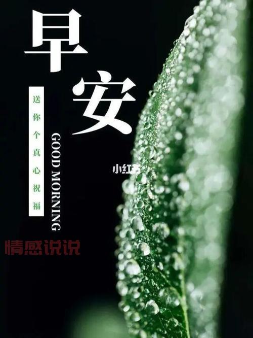 两性情感说说:如何走出感情误区,守护真爱