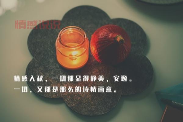 说说心情:用情感日志表达你的内心世界