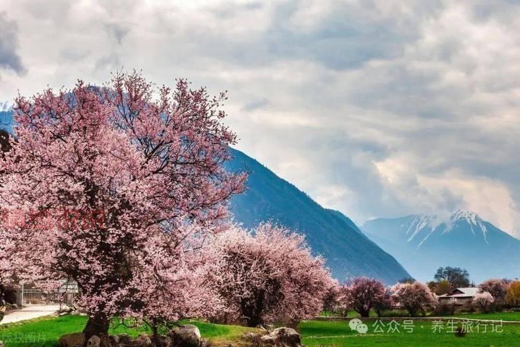 国内十大热门结婚旅游圣地，享受浪漫与美景