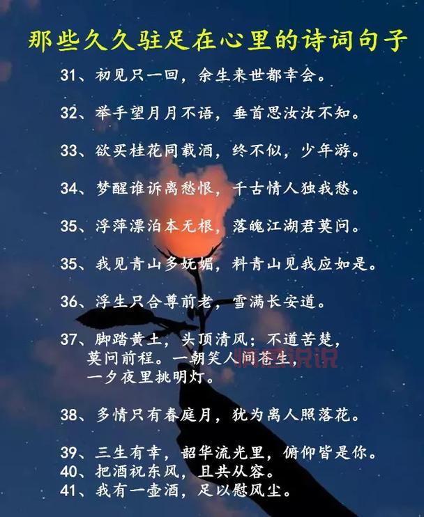 情感语录说说诗句精选：感受古诗词中的真挚情感