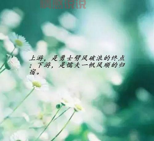 触动心灵的情感短语:表达最深沉的内心世界