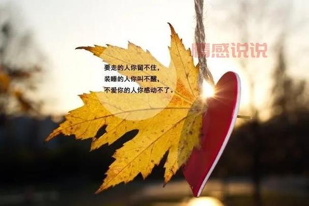 经典情感说说带图合集,表达心情的最佳选择