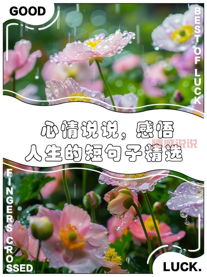 深度情感说说，感悟生活中的点滴心情