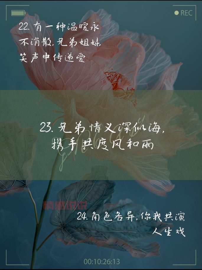 4个字情感说说:深情似海,爱意无尽