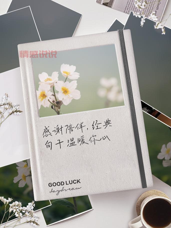 情感说说合集：时间会治愈你，陪伴会温暖你