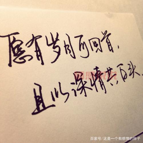 表达心情的情感签名短语：温暖治愈与深情独白