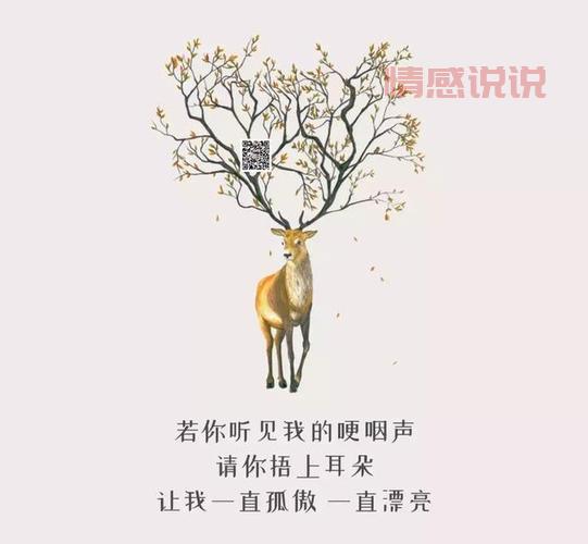 八字情感说说伤感:心若一动,泪如泉涌