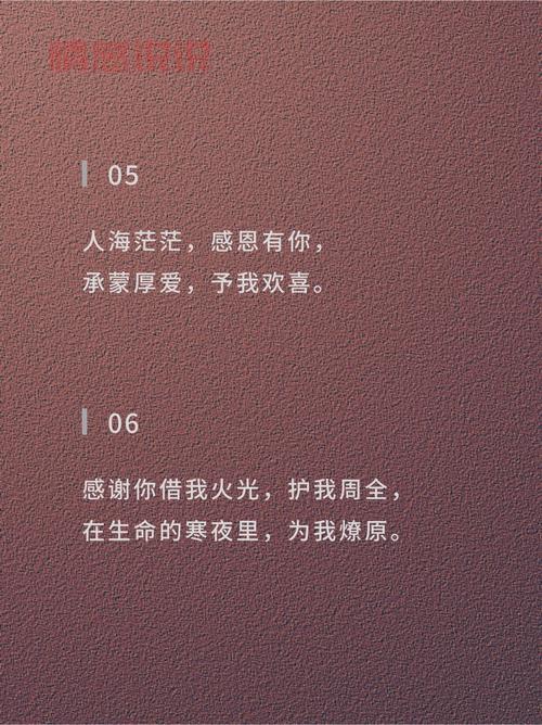 句句感恩暖人心：精选心情感恩美文短句