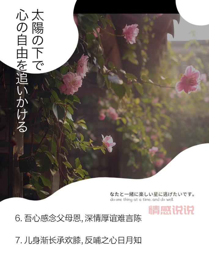 句句感恩暖人心：精选心情感恩美文短句