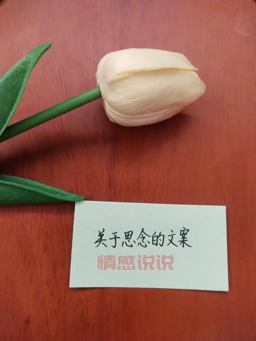 表达想你心情的短语集锦,记录最深情的思念