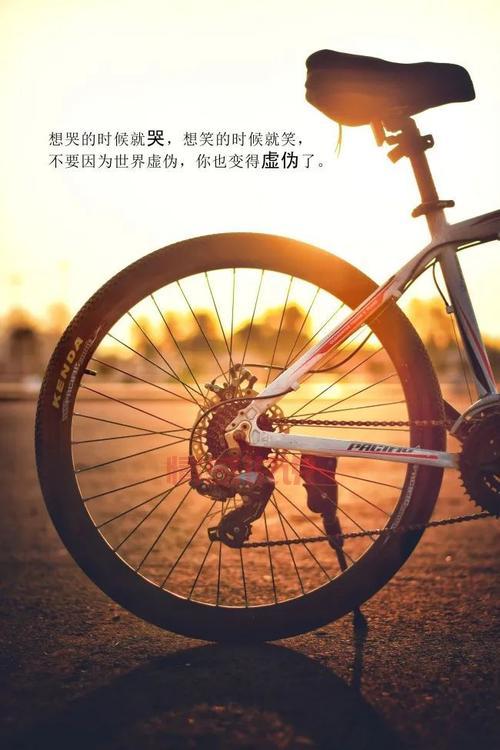 哲理情感句子:生活的思索与心情的温暖