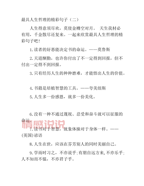 哲理情感句子:生活的思索与心情的温暖