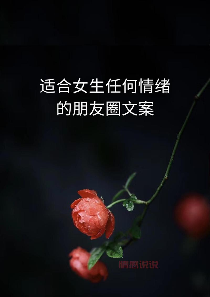 抖音热门情感句子:最适合心情表达的治愈文案