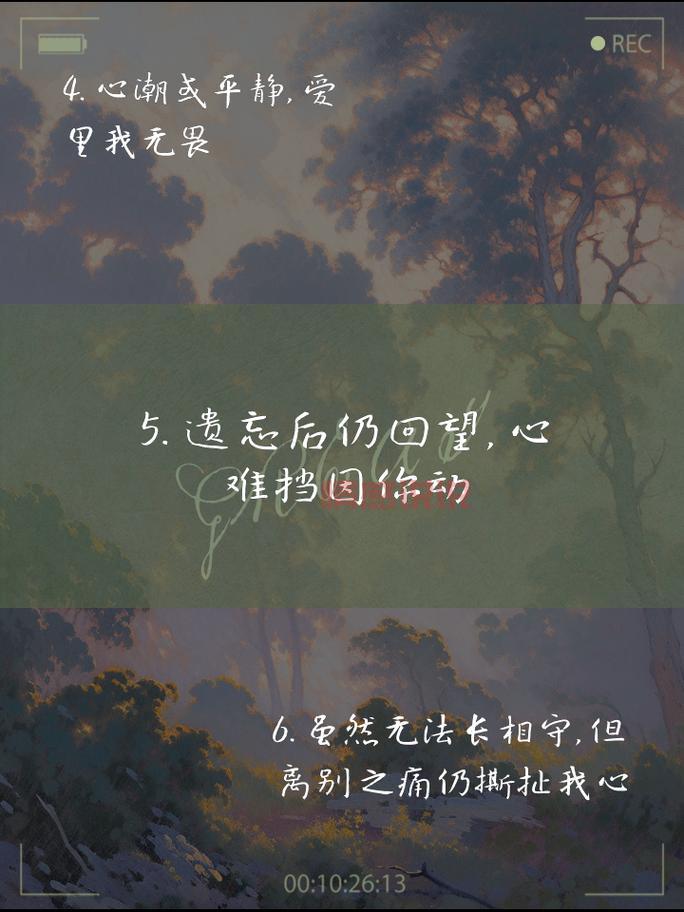 情感说说长文分享:那份无法释怀的爱与思念