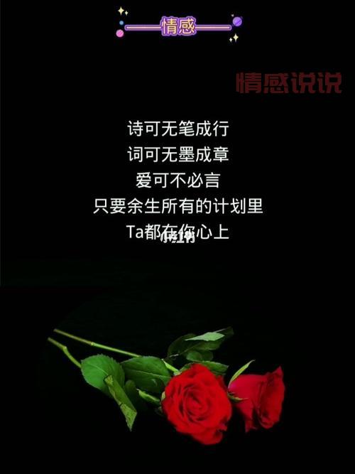 情感语录长篇:深情爱情感言,触动内心深处