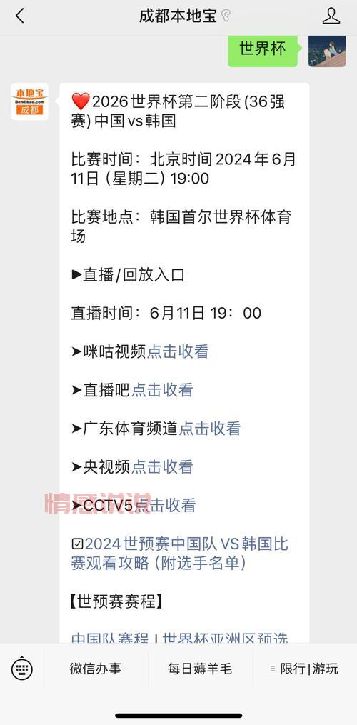 中国足球队比赛直播入口:免费观看实时赛事