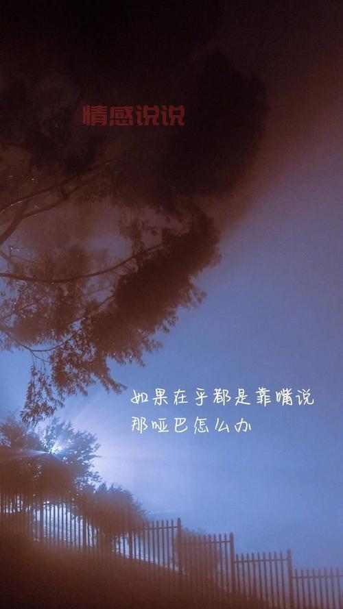 触动心灵的情感挽回说说,助你找回曾经的美好