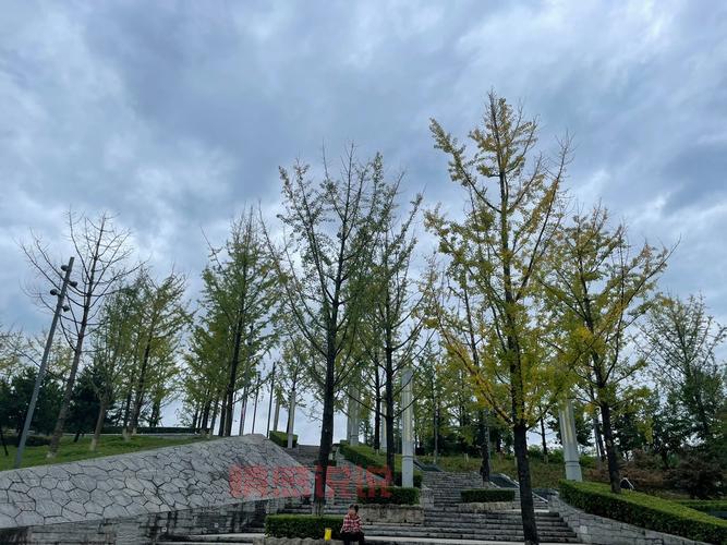 如何找到西安论坛网址?西安网民必备指南