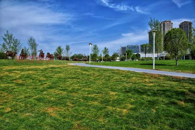 如何找到西安论坛网址?西安网民必备指南