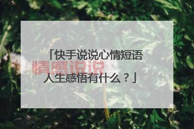 深情释怀:快手伤感情感说说让心灵找到共鸣