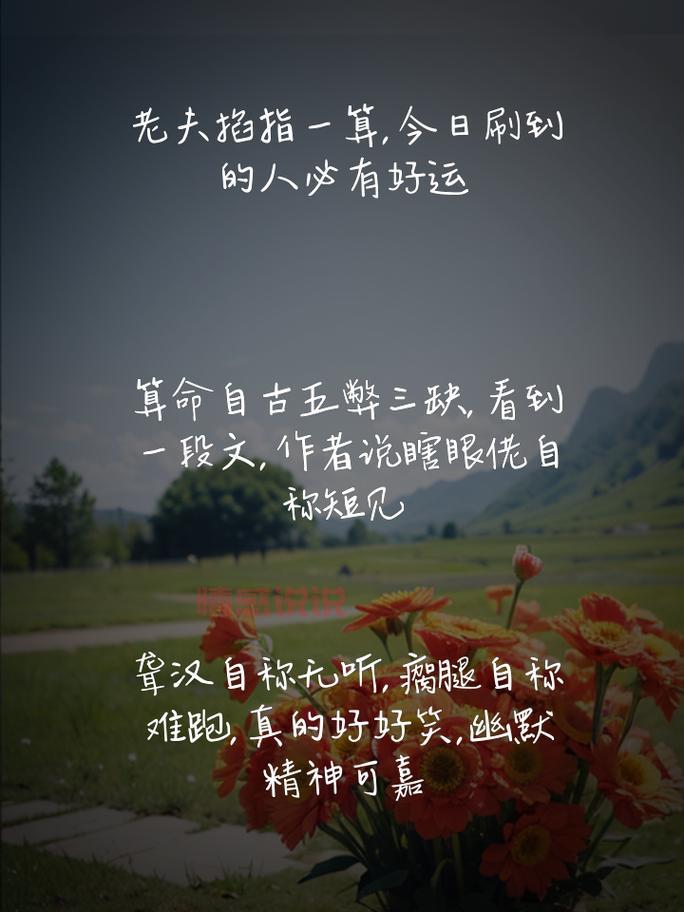 用幽默点亮生活,搞笑情感说说合集