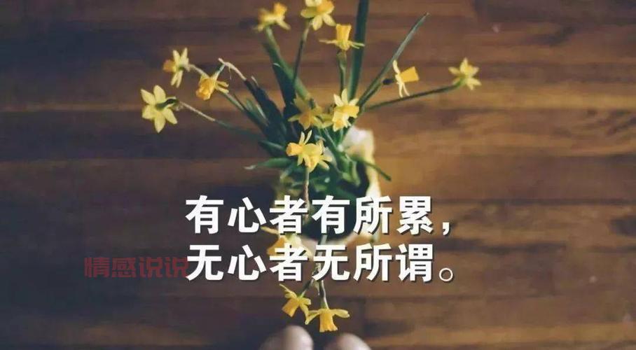 感情心累的说说:那些无声的痛与不舍