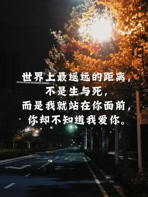 深情的伤感说说大全,感受心碎时刻的共鸣
