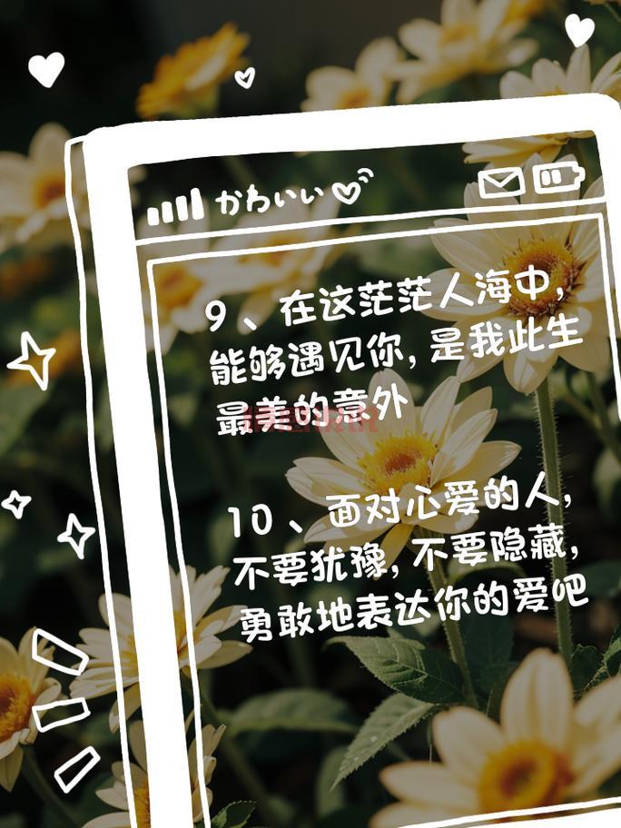 情感语录精选：记录深情与感悟的时光