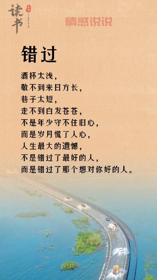 情感语录精选：记录深情与感悟的时光