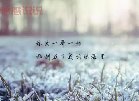 情感萌芽说说：让爱在细腻中绽放