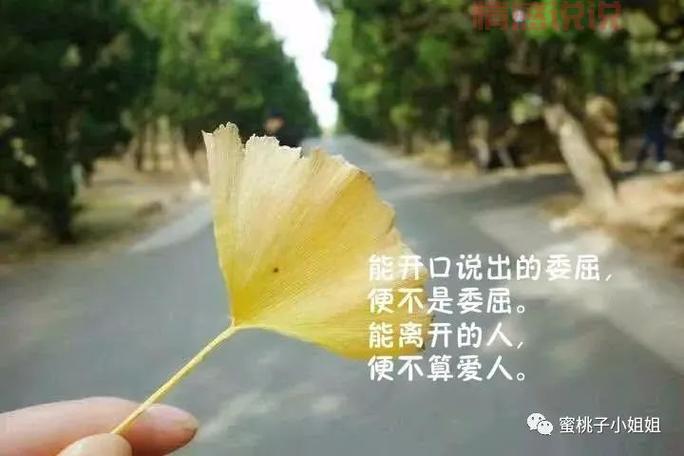 霸气经典情感说说：让你感同身受的句子
