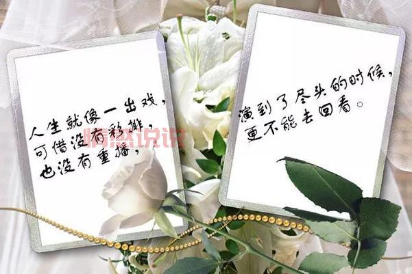 触动人心的情感说说:人生八苦,苦中有悟