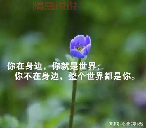 触动人心的情感说说:人生八苦,苦中有悟