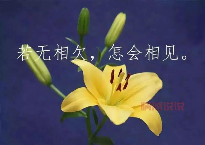 中年岁月的温情告白:关于中老年人情感的真实感悟