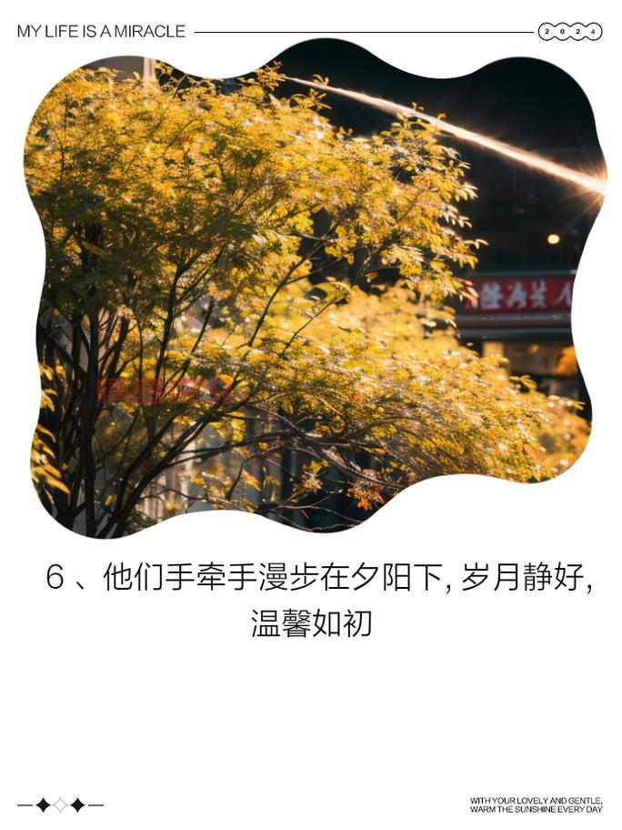 中年岁月的温情告白:关于中老年人情感的真实感悟