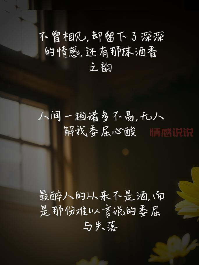 情感说说简短经典短句:用心诉说内心深处的温柔与共鸣