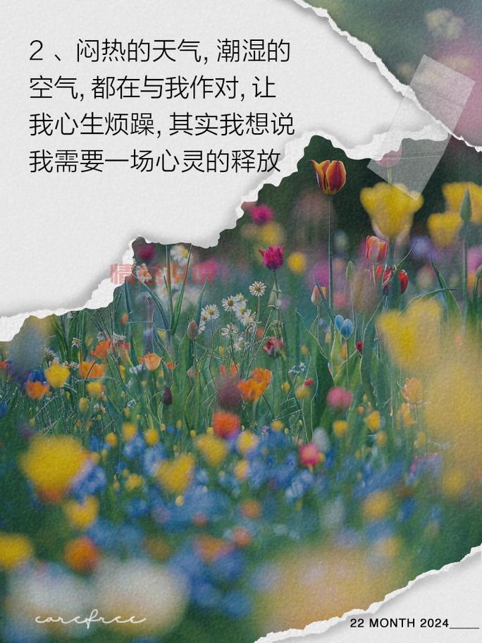 情感心情短语大全:让你一秒释放内心情绪