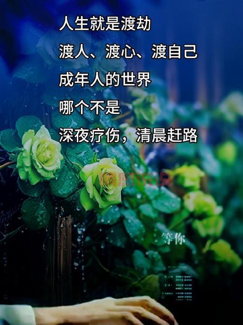 经典人性情感说说：那些年我们一起经历的情感风雨